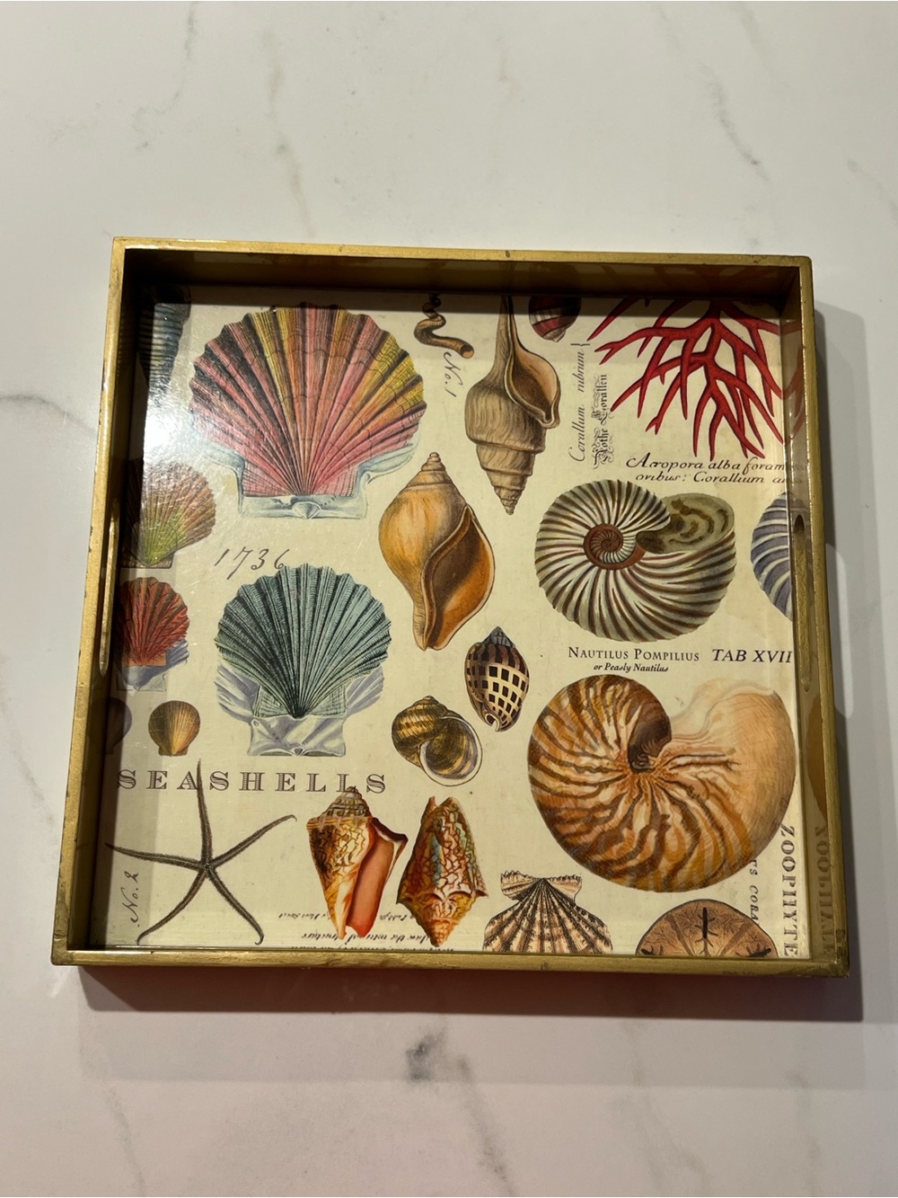 Michel Design Seashell Decorative Accent Tray